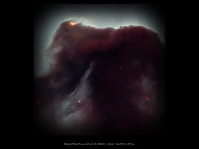 Dark nebula (Horsehead Nebula), a real image