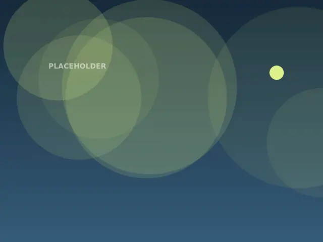 Placeholder image for Types of Passenger Planes